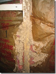 Subterrranean termite mud tubes inside wall
