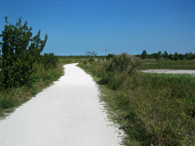 The beginning of the unpaved trail towards osprey nest poles and observation tower